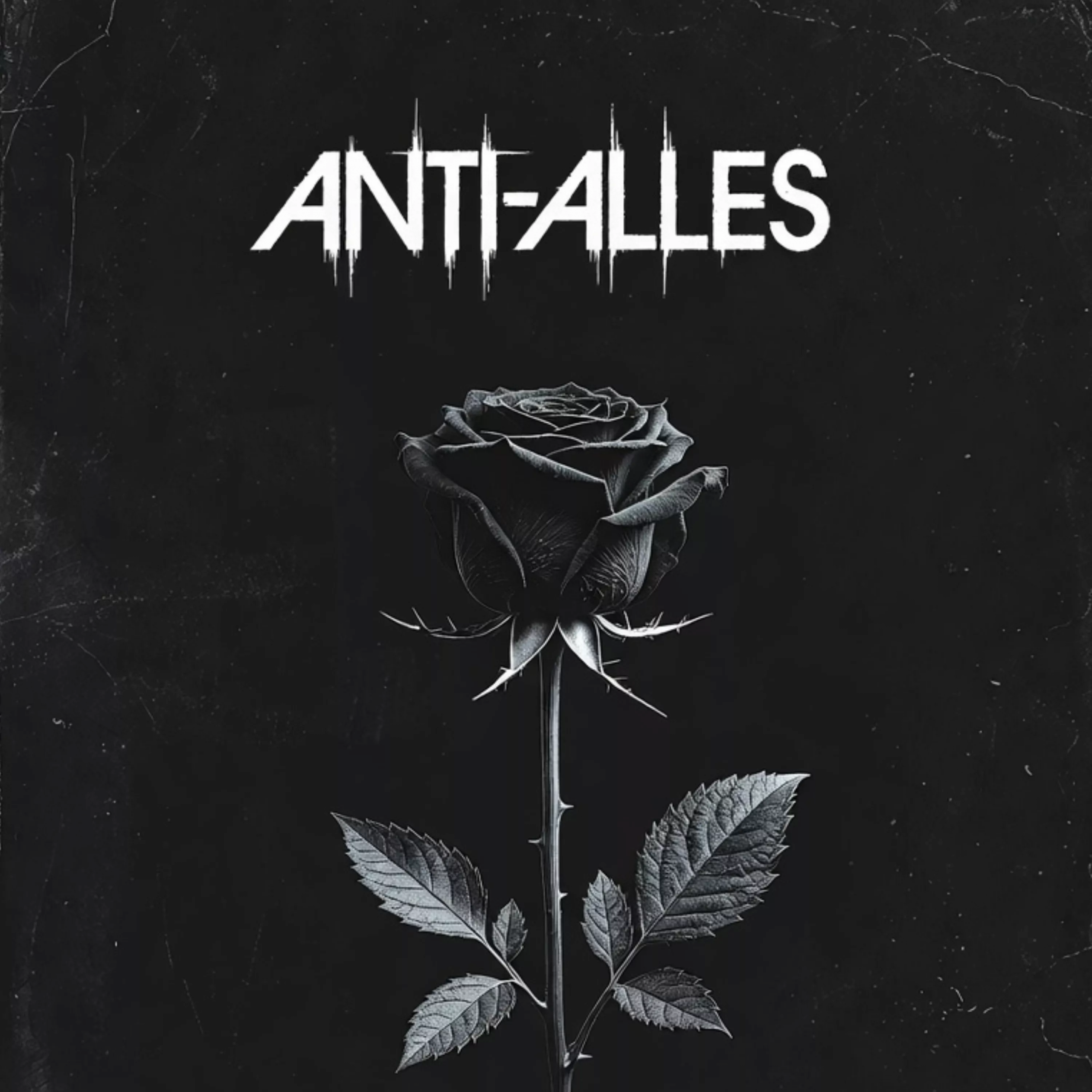 Album Anti-Alles